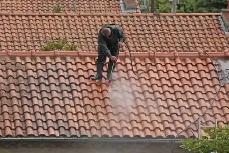 Nettoyage et démoussage de toiture à Gauriaguet à Gauriaguet